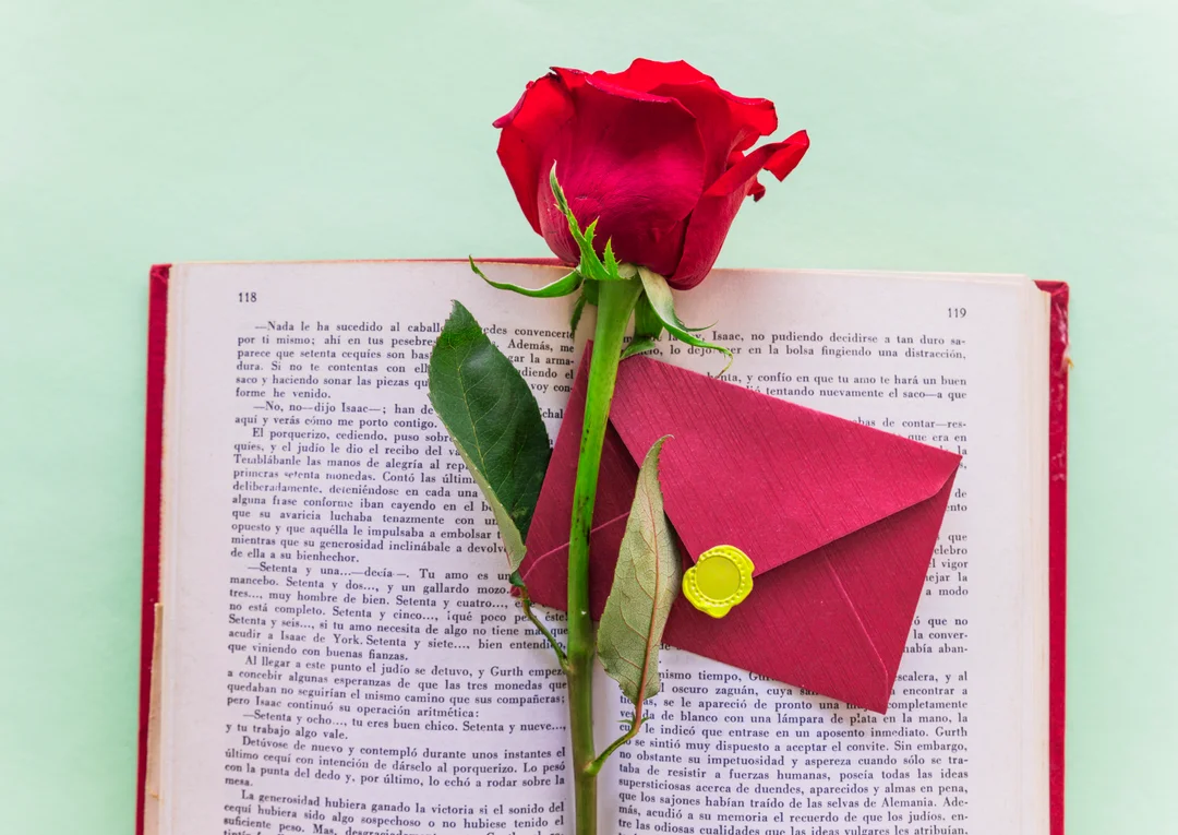 llibre sant jordi